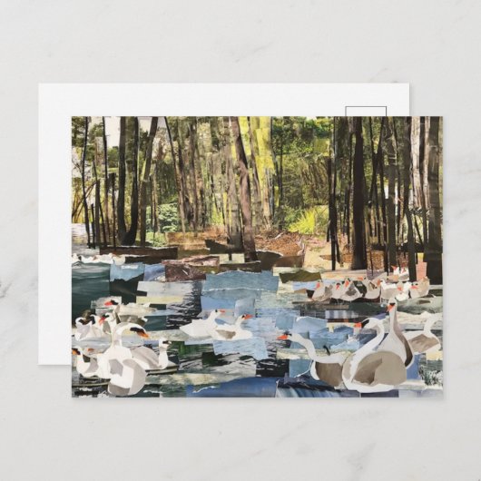 Snappapier "Swans on the River" met Willowcatdesig Briefkaart (Voorkant / Achterkant)