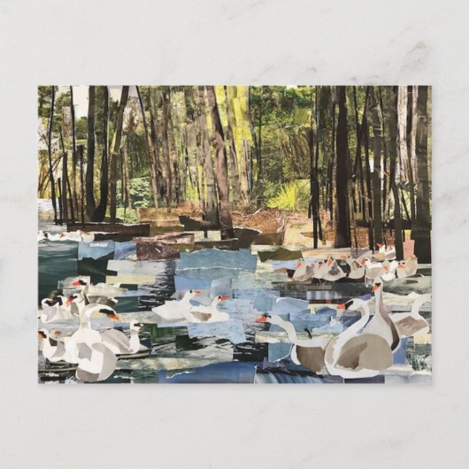 Snappapier "Swans on the River" met Willowcatdesig Briefkaart (Voorkant)