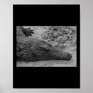 Snapper Croc Zwart-wit Spanje Verticaal Poster