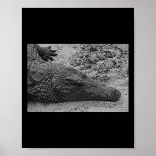 Snapper Croc Zwart-wit Spanje Verticaal Poster (Voorkant)