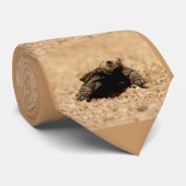 snapper hatchling stropdas (Opgerold)