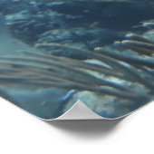 Snapper School Poster (Hoek)