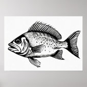 Snapper - Visprint Poster (Voorkant)