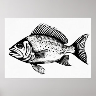 Snapper - Visprint Poster