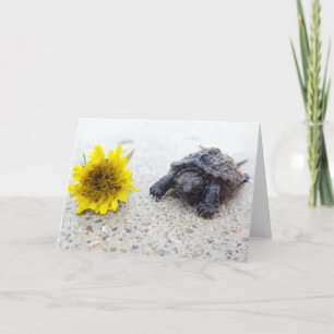 Snapping Turtle en paardenbloem wenskaart Kaart