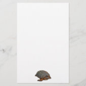 Snapping Turtle Terrapin-lover Gift Briefpapier (Voorkant)