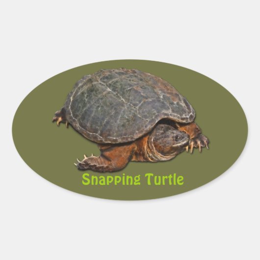 Snapping Turtle Terrapin-lover Gift Ovale Sticker (Voorkant)