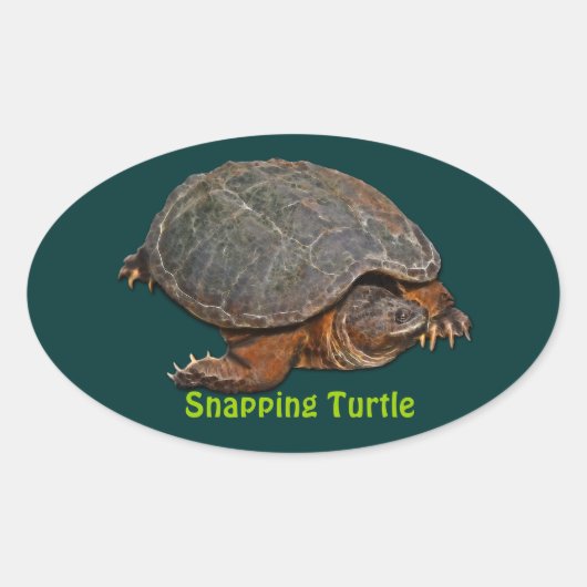 Snapping Turtle Terrapin-lover Stickers (Voorkant)
