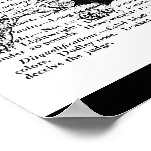 SNAPPY BOSTON BULL TERRIER  ART PRINT (Hoek)