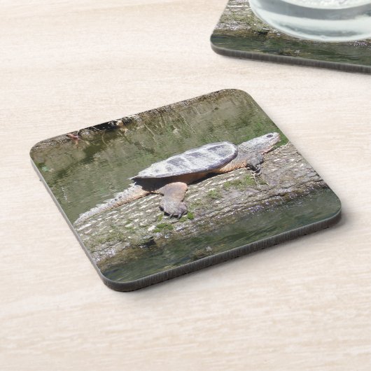 Snapschildpad Bier Onderzetter (Linkerzijde)