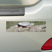 Snapschildpad Bumpersticker (Op auto)