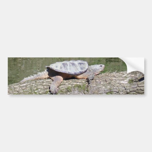 Snapschildpad Bumpersticker (Voorkant)