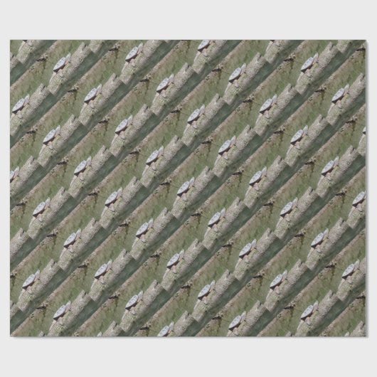 Snapschildpad Cadeaupapier (Vlak)