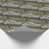 Snapschildpad Cadeaupapier (Hoek)