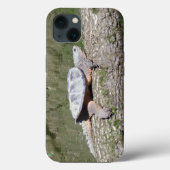 Snapschildpad Case-Mate iPhone Case (Achterkant)