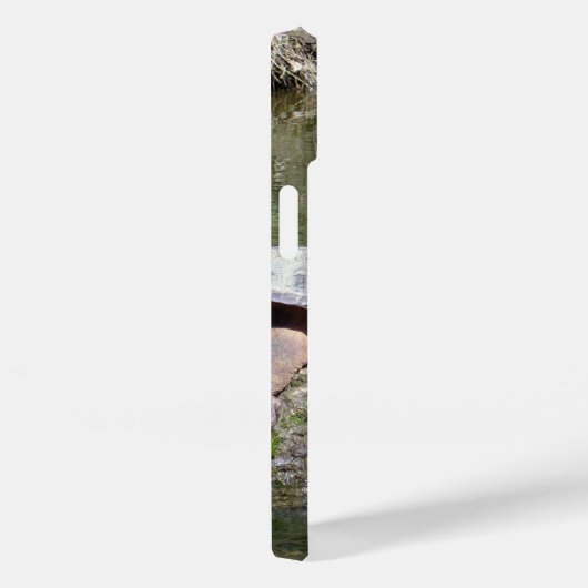 Snapschildpad Case-Mate iPhone Case (Achterkant / Rechts)