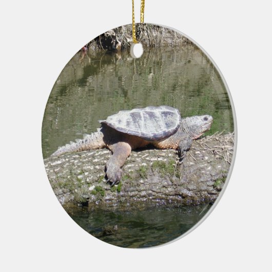 Snapschildpad Keramisch Ornament (Links)