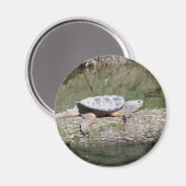 Snapschildpad Magneet (Voorkant / Achterkant)