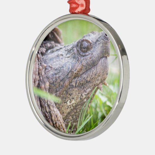 Snapschildpad Metalen Ornament (Links)