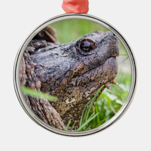 Snapschildpad Metalen Ornament (Voorkant)