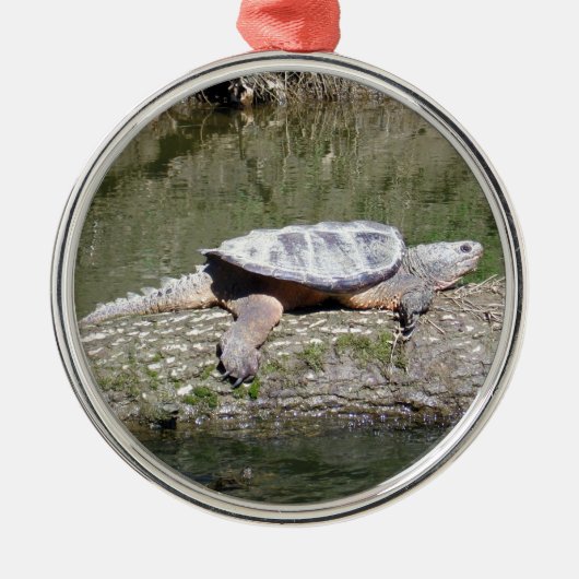 Snapschildpad Metalen Ornament (Voorkant)