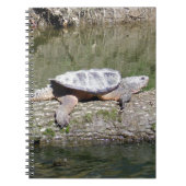 Snapschildpad Notitieboek (Voorkant)