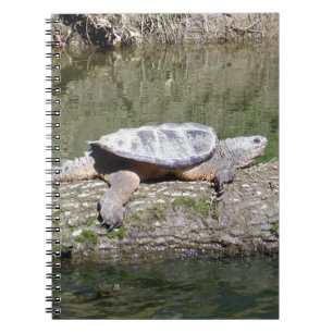 Snapschildpad Notitieboek