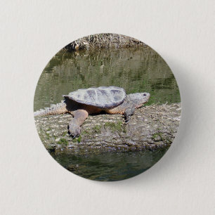 Snapschildpad Ronde Button 5,7 Cm