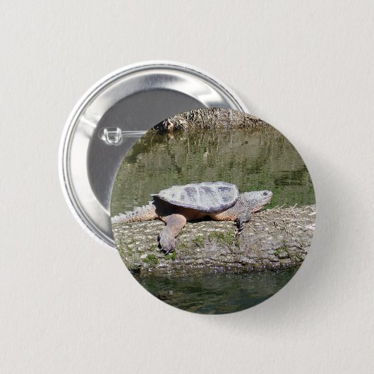 Snapschildpad Ronde Button 5,7 Cm (Voorkant /achterkant)
