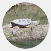 Snapschildpad Ronde Sticker (Voorkant)