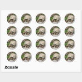 Snapschildpad Ronde Sticker (Vel)
