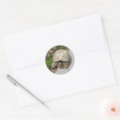 Snapschildpad Ronde Sticker (Envelop)