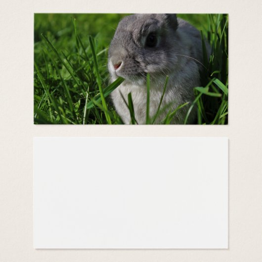 Snaptijd Visitekaartje (Voorkant /achterkant)