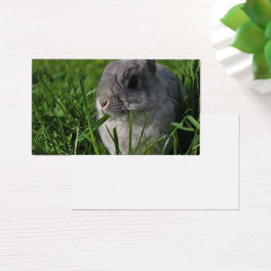 Snaptijd Visitekaartje (Bureau)