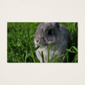 Snaptijd Visitekaartje (Voorkant)