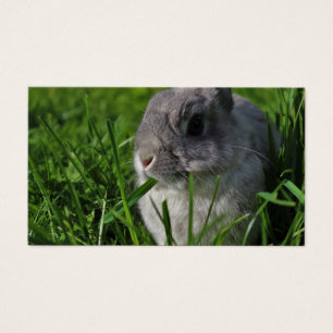 Snaptijd Visitekaartje