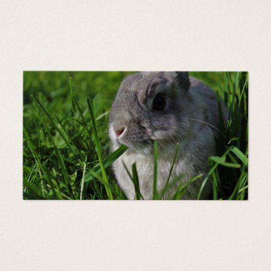 Snaptijd Visitekaartje (Voorkant)