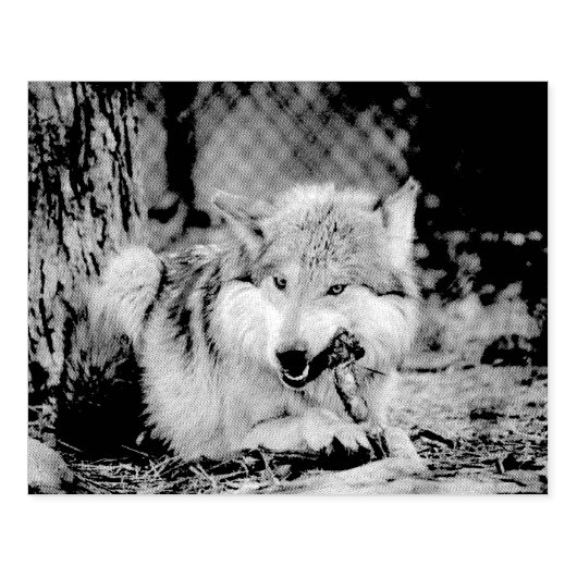 Snaptimer Rubberstempel (Afrduk)