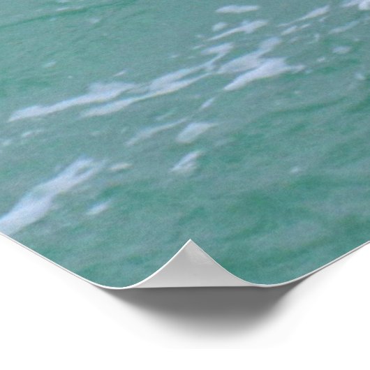 Snares Penguins zwemmen Poster (Hoek)