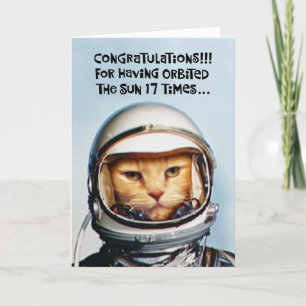 Snarky 17th Verjaardag gefeliciteerd Kaart