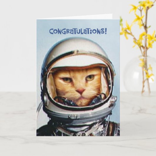 Snarky 43e verjaardag kaart (Gele Bloem)