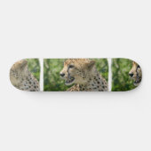 Snarling Cheetah Skateboard (Horizontaal)