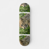 Snarling Cheetah Skateboard (Voorkant)