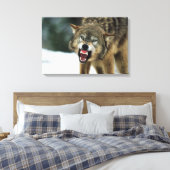 Snarling grijze wolf canvas afdruk (Insitu (Slaapkamer))