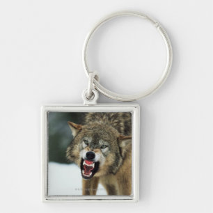 Snarling grijze wolf sleutelhanger