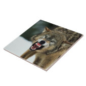 Snarling grijze wolf tegeltje (Zijkant)