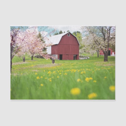 Snazzy Red Barn met roze bomen en bloemen Tissuepapier (Voorkant)