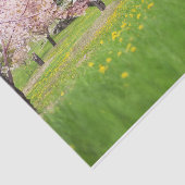 Snazzy Red Barn met roze bomen en bloemen Tissuepapier (Detail)