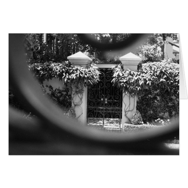 Sneak Peak (Voorkant Horizontaal)