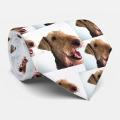 Sneakers Het Stropdas Airedale (Opgerold)